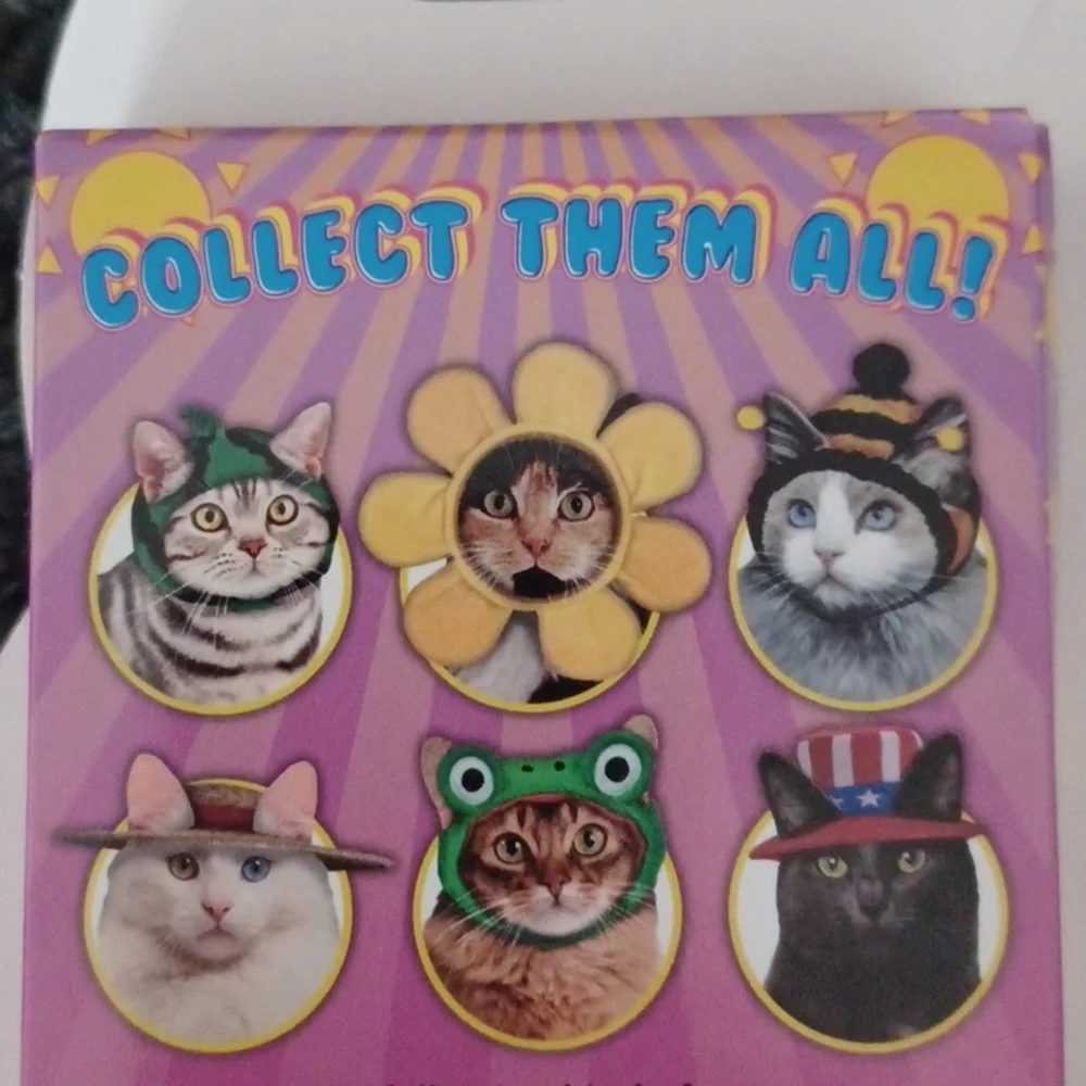 New 6 Piece Cat Hats